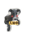 我が家のイタグレ（個別スタンプ：6）