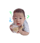 こたろーくんのスタンプです（個別スタンプ：1）