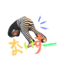 ひなたとろびん3（個別スタンプ：2）