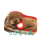 RKN2（個別スタンプ：1）