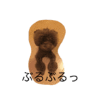 RKN2（個別スタンプ：2）