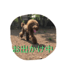 RKN2（個別スタンプ：4）