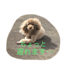 RKN2（個別スタンプ：7）