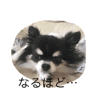 RKN2（個別スタンプ：9）