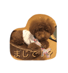 RKN2（個別スタンプ：15）
