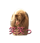 RKN2（個別スタンプ：16）