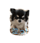 RKN2（個別スタンプ：19）