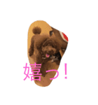 RKN2（個別スタンプ：20）