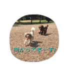 RKN2（個別スタンプ：22）
