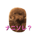 RKN2（個別スタンプ：23）