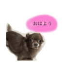 ねっちゃんと仲間たちのスタンプ（個別スタンプ：4）