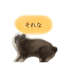 ねっちゃんと仲間たちのスタンプ（個別スタンプ：6）