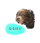 ねっちゃんと仲間たちのスタンプ（個別スタンプ：8）