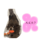 ねっちゃんと仲間たちのスタンプ（個別スタンプ：11）