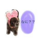 ねっちゃんと仲間たちのスタンプ（個別スタンプ：12）