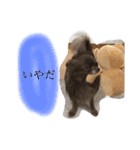 ねっちゃんと仲間たちのスタンプ（個別スタンプ：13）