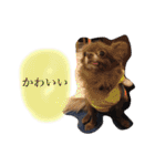 ねっちゃんと仲間たちのスタンプ（個別スタンプ：15）