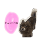 ねっちゃんと仲間たちのスタンプ（個別スタンプ：17）