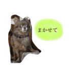 ねっちゃんと仲間たちのスタンプ（個別スタンプ：18）