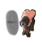 ねっちゃんと仲間たちのスタンプ（個別スタンプ：20）