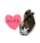 ねっちゃんと仲間たちのスタンプ（個別スタンプ：21）