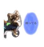 ねっちゃんと仲間たちのスタンプ（個別スタンプ：25）
