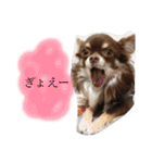 ねっちゃんと仲間たちのスタンプ（個別スタンプ：26）