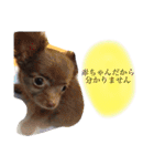 ねっちゃんと仲間たちのスタンプ（個別スタンプ：29）