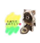 ねっちゃんと仲間たちのスタンプ（個別スタンプ：30）