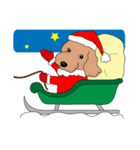 犬と クリスマス 2：トイプードル（個別スタンプ：5）