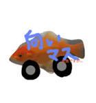 金魚さん<+))><<（個別スタンプ：2）