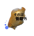金魚さん<+))><<（個別スタンプ：24）