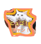 ヒュゴの日常2！（個別スタンプ：1）