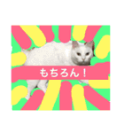 ヒュゴの日常2！（個別スタンプ：2）