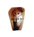 ヒュゴの日常2！（個別スタンプ：4）