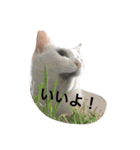 ヒュゴの日常2！（個別スタンプ：8）