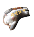 ヒュゴの日常2！（個別スタンプ：9）