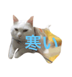 ヒュゴの日常2！（個別スタンプ：13）