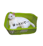 ヒュゴの日常2！（個別スタンプ：14）
