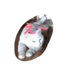 ヒュゴの日常2！（個別スタンプ：15）