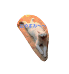 ヒュゴの日常2！（個別スタンプ：16）