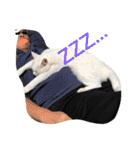 ヒュゴの日常2！（個別スタンプ：19）