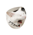 ヒュゴの日常2！（個別スタンプ：20）