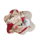 ヒュゴの日常2！（個別スタンプ：21）