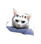 ヒュゴの日常2！（個別スタンプ：22）
