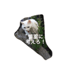 ヒュゴの日常2！（個別スタンプ：24）