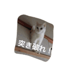 ヒュゴの日常2！（個別スタンプ：26）