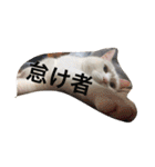 ヒュゴの日常2！（個別スタンプ：28）