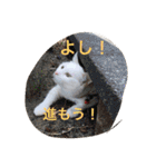 ヒュゴの日常2！（個別スタンプ：32）