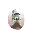 ヒュゴの日常2！（個別スタンプ：33）